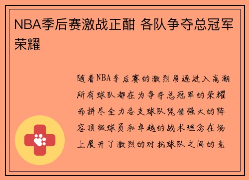 NBA季后赛激战正酣 各队争夺总冠军荣耀